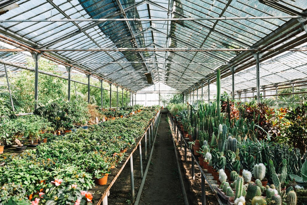 Heating A Greenhouse With Solar Panels: Full Guide - BLUETTI UK